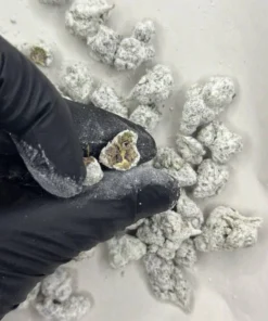 Exotic Snow Caps Smalls