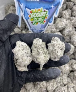 Snow Cones Gogurt Runtz